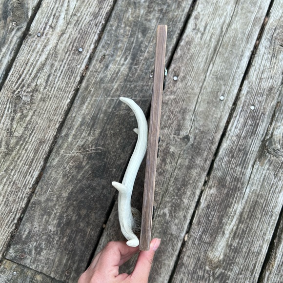 5x7 Wood Picture Frame with Faux Deer Antler - Picture 5 of 11